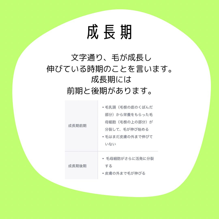 画像1693