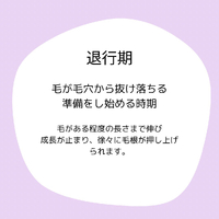 画像1694