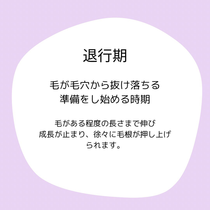 画像1694