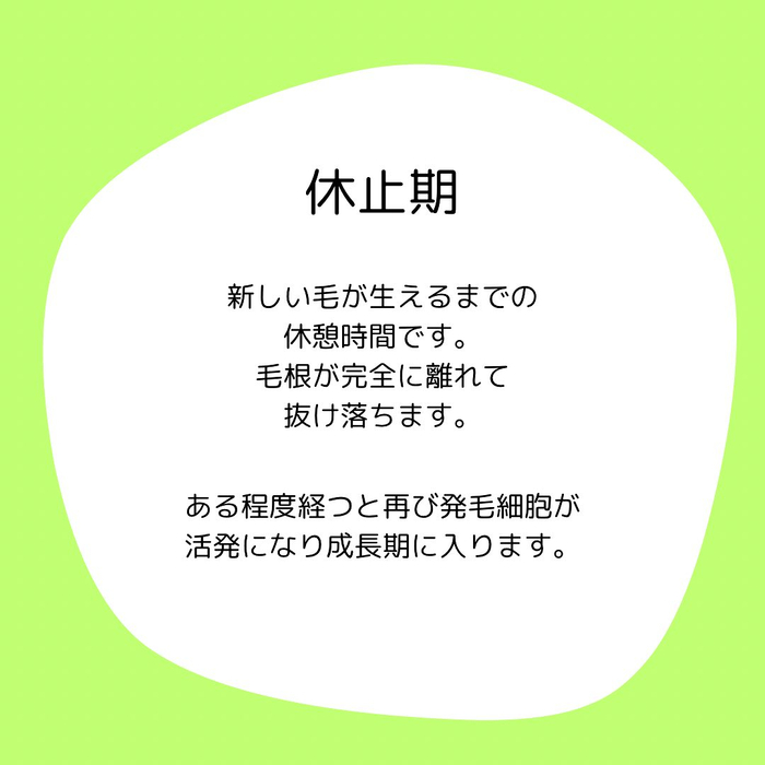 画像1695
