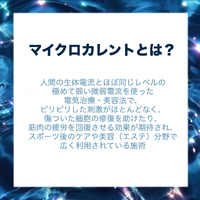 画像1799