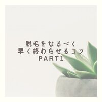 画像291