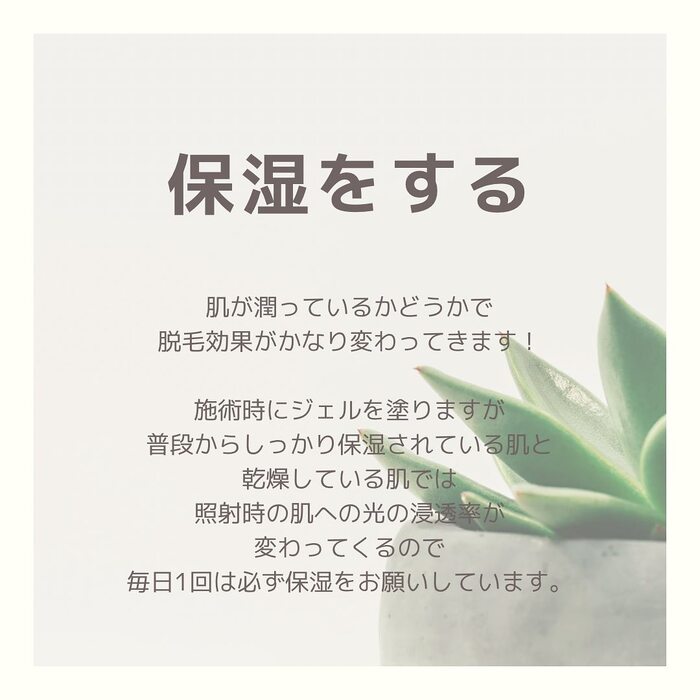画像292