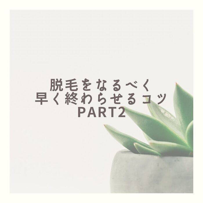 画像294