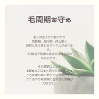 画像295