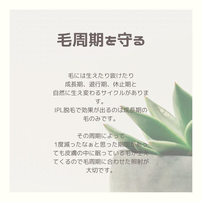 画像295